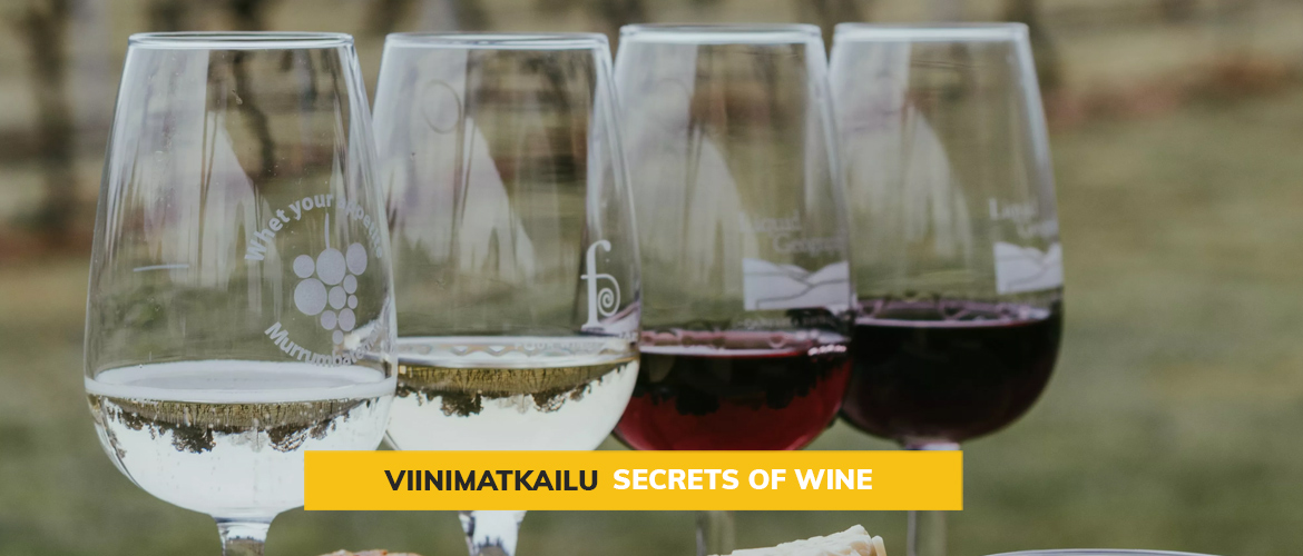 Viinin salaisuudet paljastuvat: Matka rypälelajikkeiden ja ruokaparien maailmassa